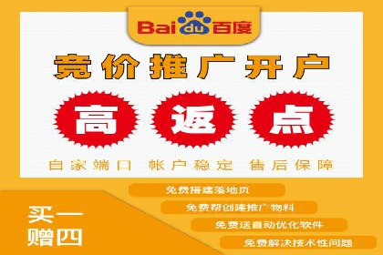 百度包年竞价策略优化：提高投资回报率